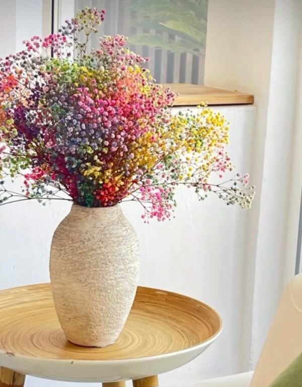 Ramo Paniculata preservada Rainbow - Imagen 2
