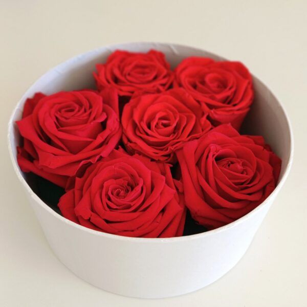 Regalo San Valentín- Rosas preservadas - Imagen 2