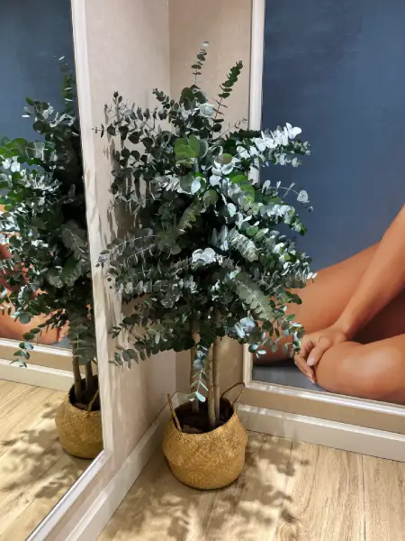 2 (1)